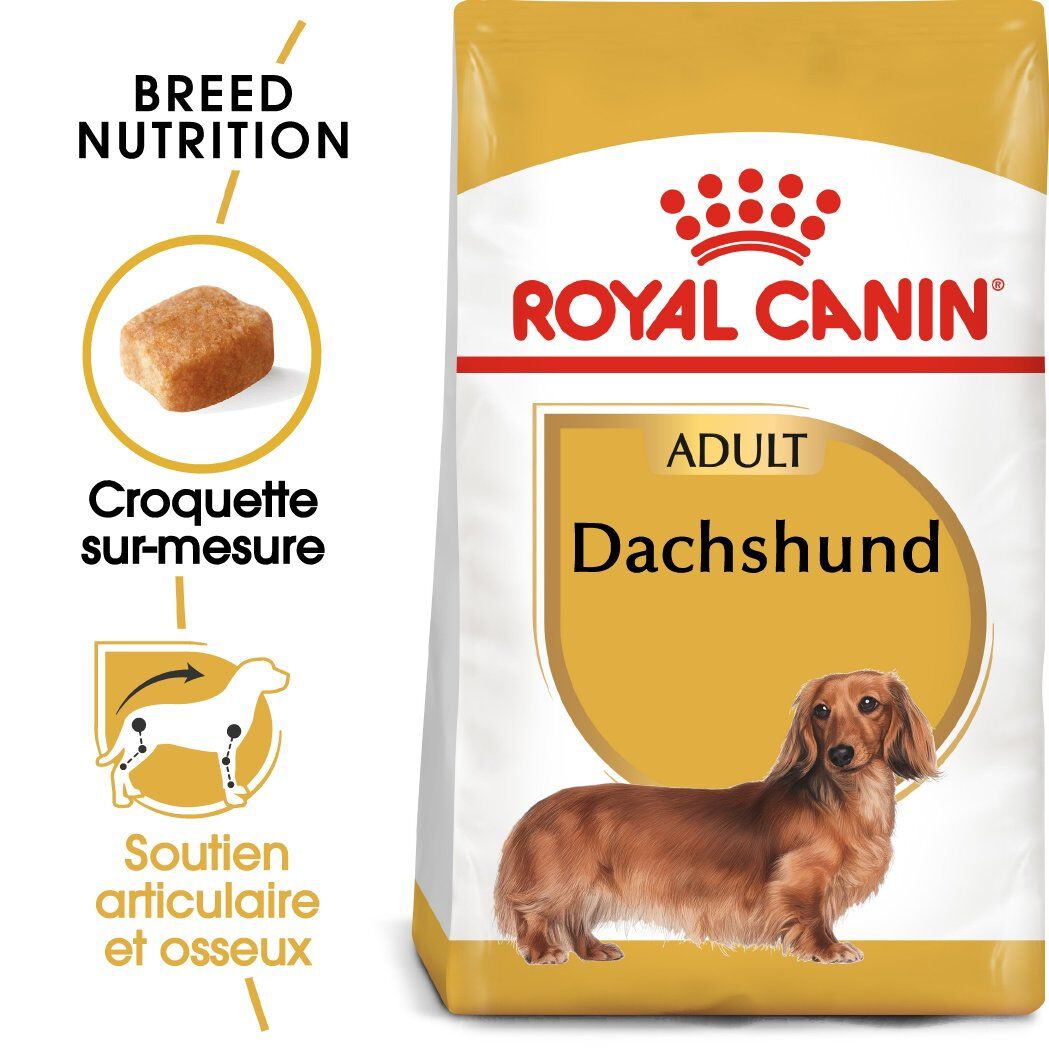 Royal Canin - Croquettes Teckel pour Chien Adulte - 1,5Kg Image num&eacute;ro 1