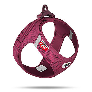 Curli - Harnais Veste Boucle Curli Clasp Ruby pour Chien - XS