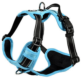 Bobby - Harnais Rando Walk Bleu pour Chiens