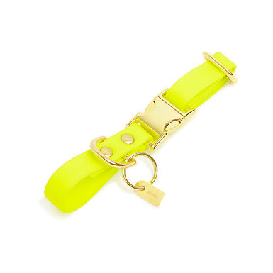 Pop Dog - Collier Joyeux Jaune pour Chien - M