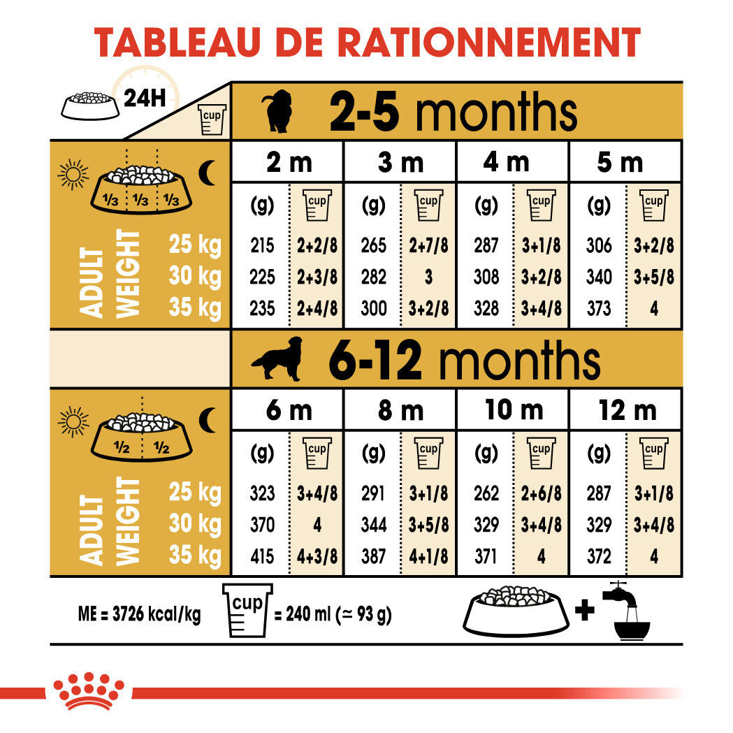 Royal Canin - Croquettes Golden Retriever Junior pour Chiot - 12Kg Image num&eacute;ro 7