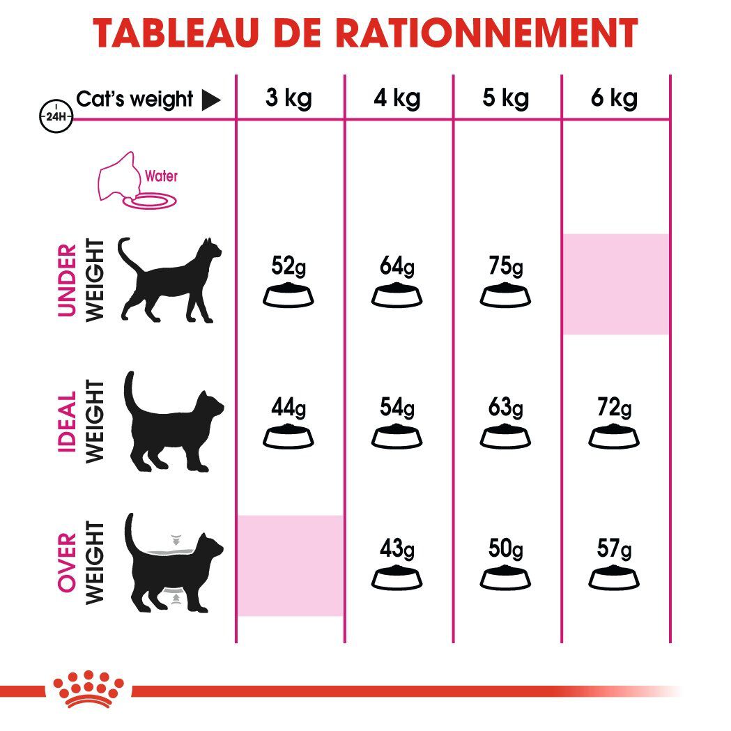 Royal Canin - Croquettes Aroma Exigent pour Chat - 2Kg Image num&eacute;ro 5