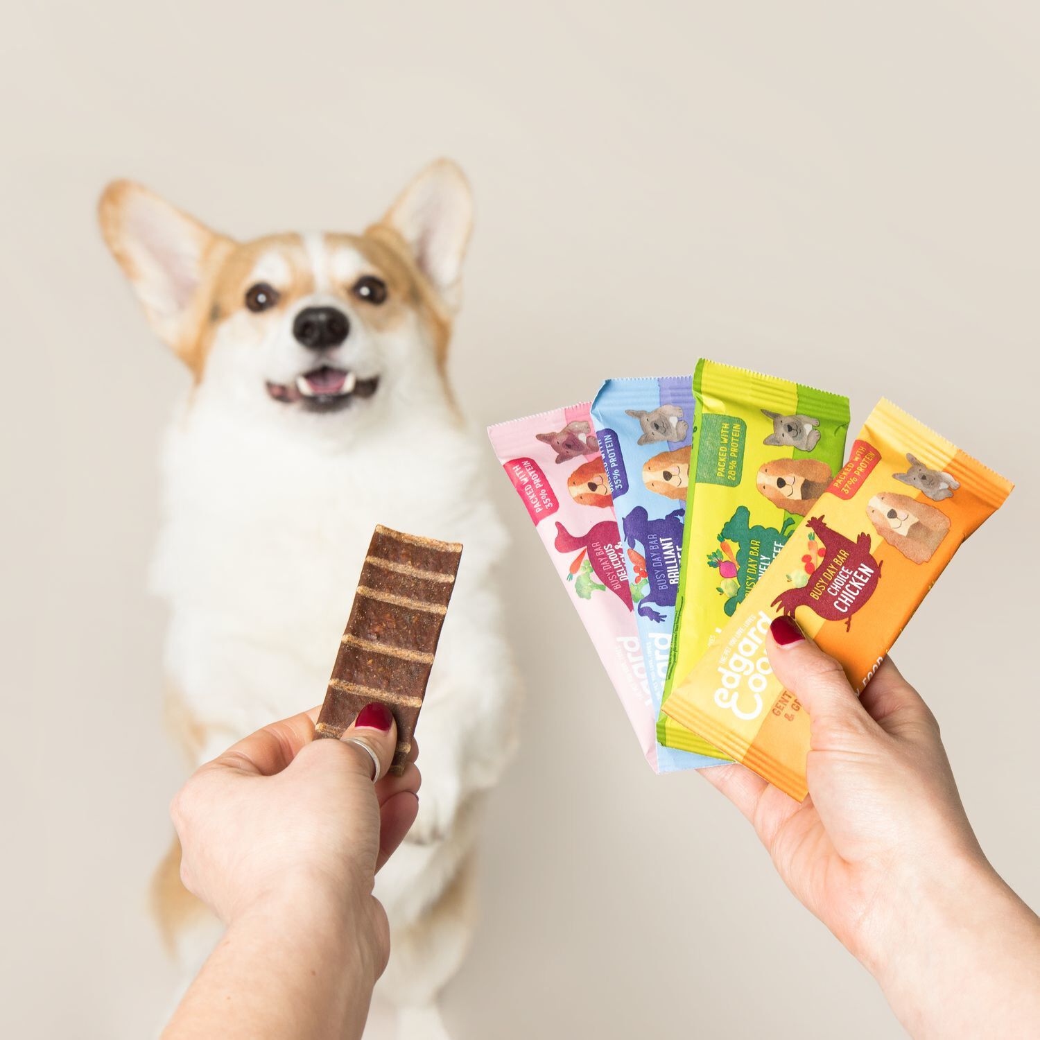 Edgard & Cooper - Fraindises Barre Prot&eacute;in&eacute;e Naturelles Canard et Poulet frais pour Chien - 25g Image num&eacute;ro 3