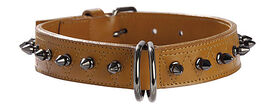 Bobby - Collier Pretty Marine pour Chiens