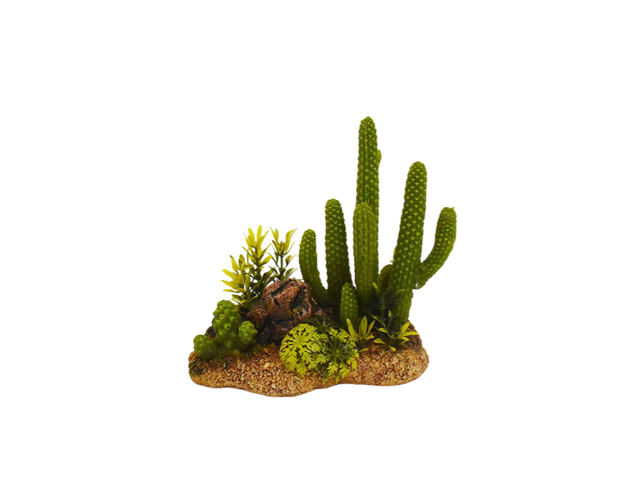 Amtra - D&eacute;coration Mexico Cactus 8 pour Aquarium Image num&eacute;ro 1