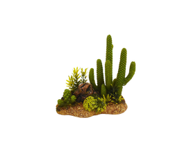 Amtra - D&eacute;coration Mexico Cactus 8 pour Aquarium