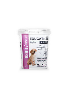 Hamiform - Friandises Education Junior Saumon et Poulet - 240g