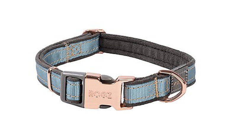 Rogz - Collier Urban Turquoise pour Chiens - M image number null