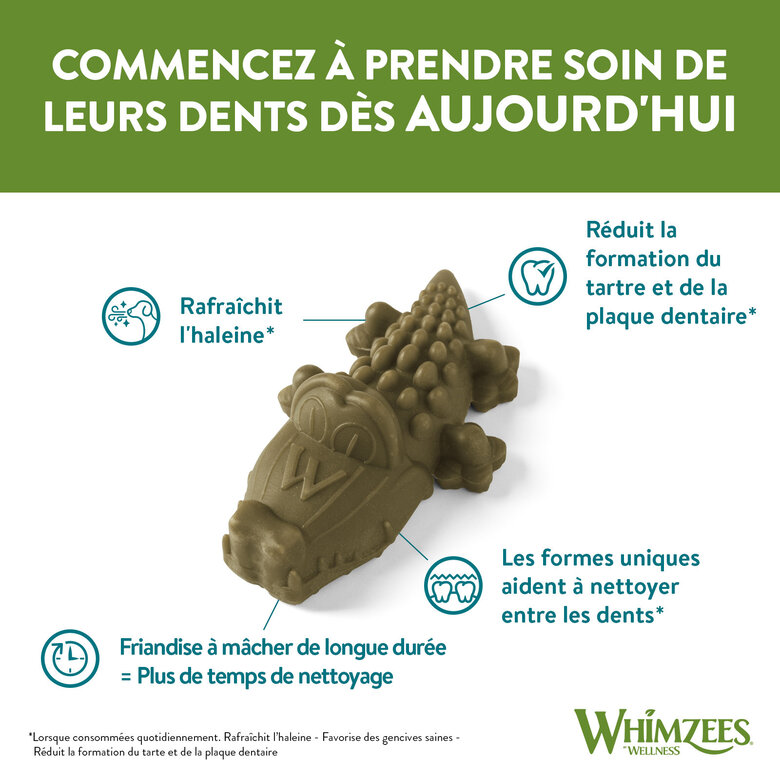 Whimzees - Friandises Nature Crocodile Dog Treats S pour Chien - x24 Image numéro 6 Whimzees - Friandises Nature Crocodile Dog Treats S pour Chien - x24 Image numéro 6