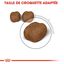 Royal Canin - Croquettes Dental Sensitive pour Chat - 400g Indicateur image numéro 4
