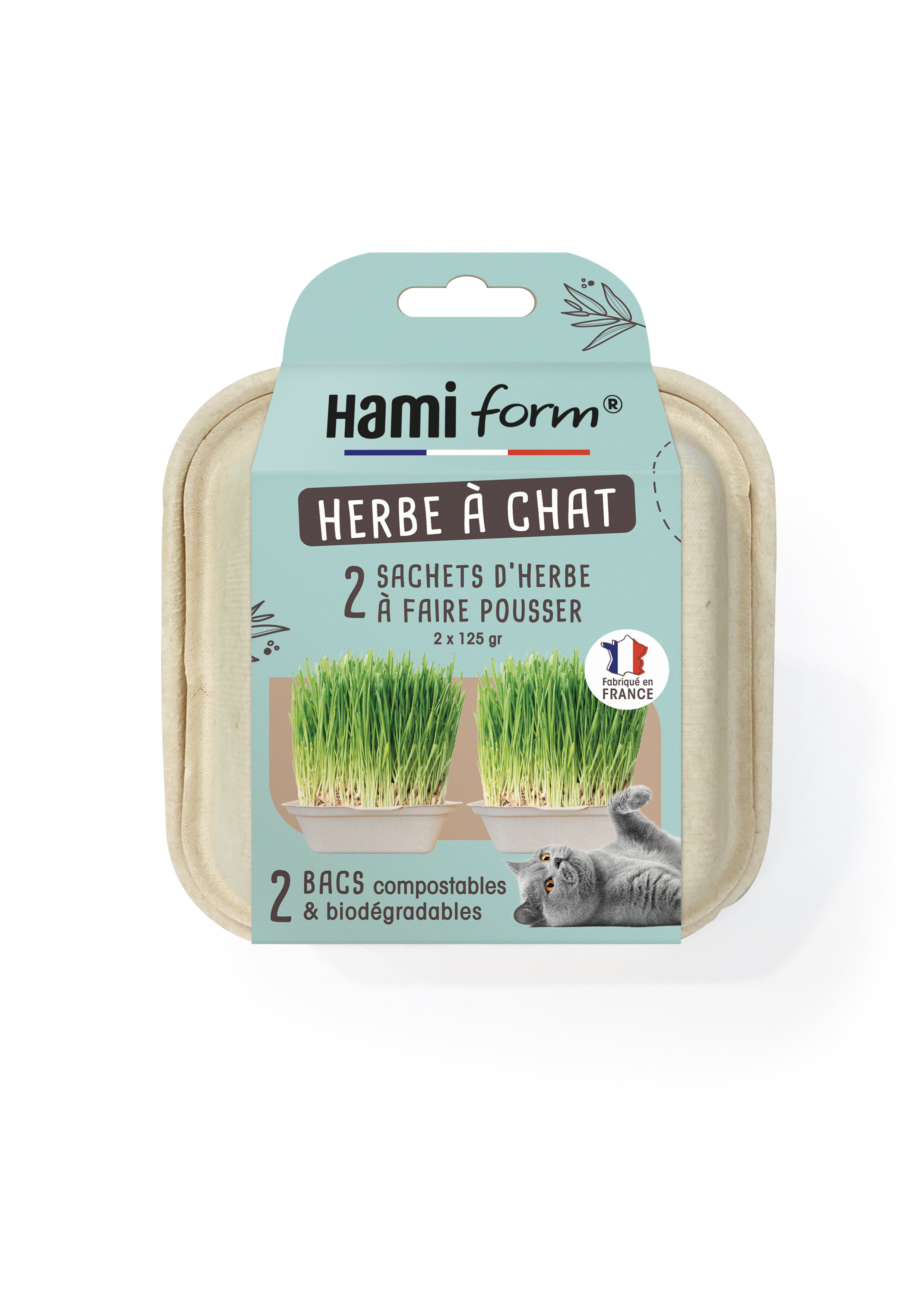 Hamiform - Herbe &agrave; Chat Pr&ecirc;t &agrave; faire Pousser - 2 x 125g Image num&eacute;ro 1