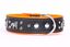 Yogipet - Collier Bulldog Cuir Crystal pour Chien Orange -T65 48/58cm Indicateur image numéro 3
