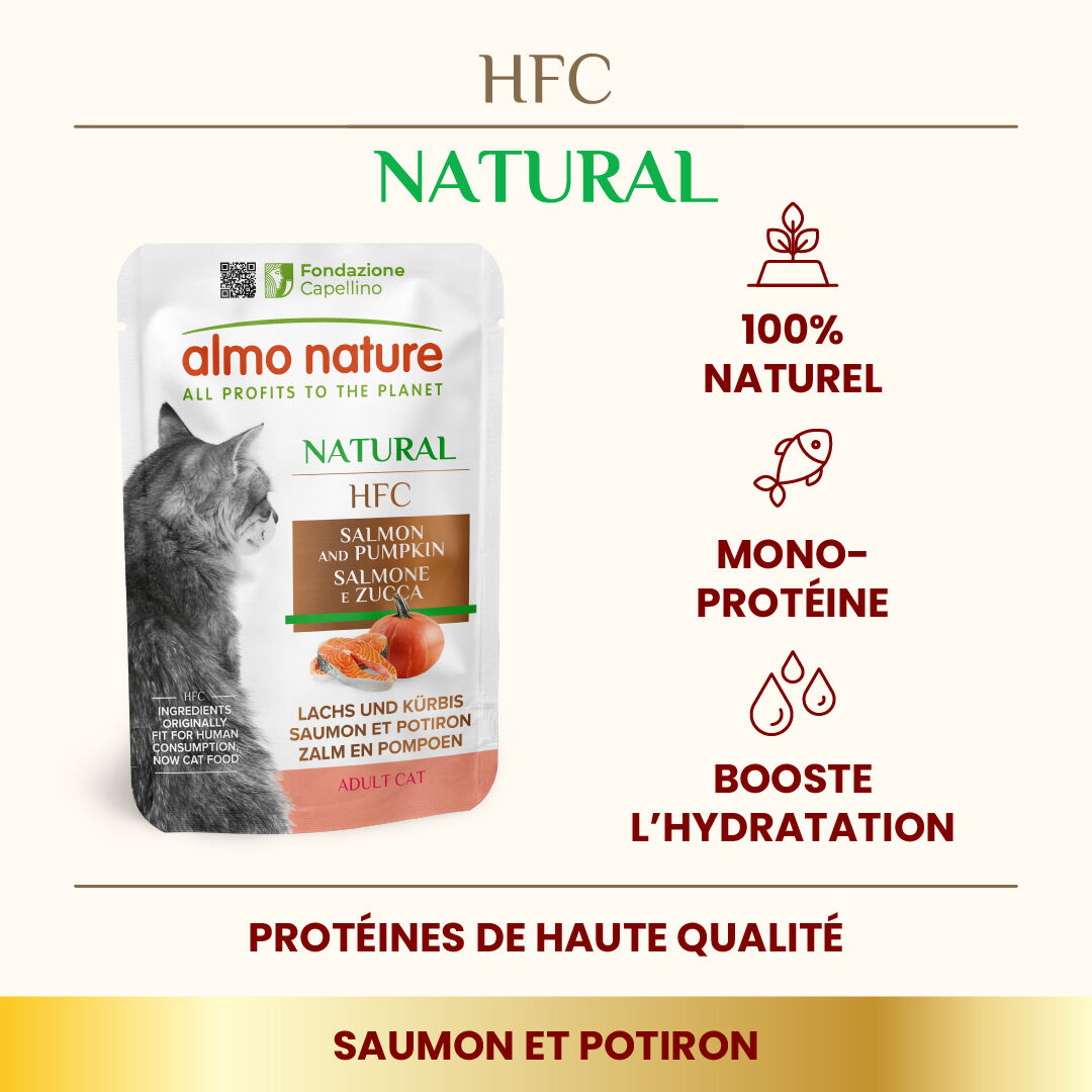Almo Nature - P&acirc;t&eacute;e Hfc Natural Saumon Et Potiron - 55g Image num&eacute;ro 2