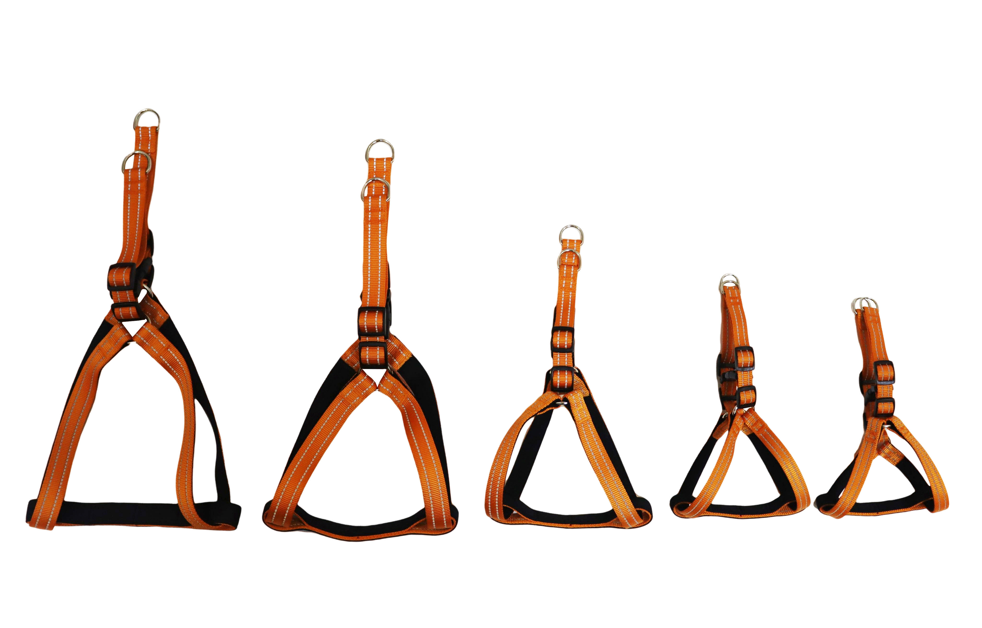 Gotoo - Harnais Essentials en Nylon Premium Orange pour Chien - XS Image num&eacute;ro 6