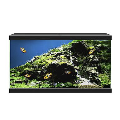 Ciano - Aquarium 60 LED - Noir