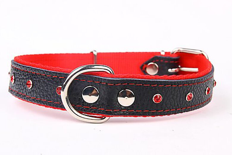 Yogipet - Collier Cuir Nylon Crystal T41 30/38cm pour Chien - Rouge image number null