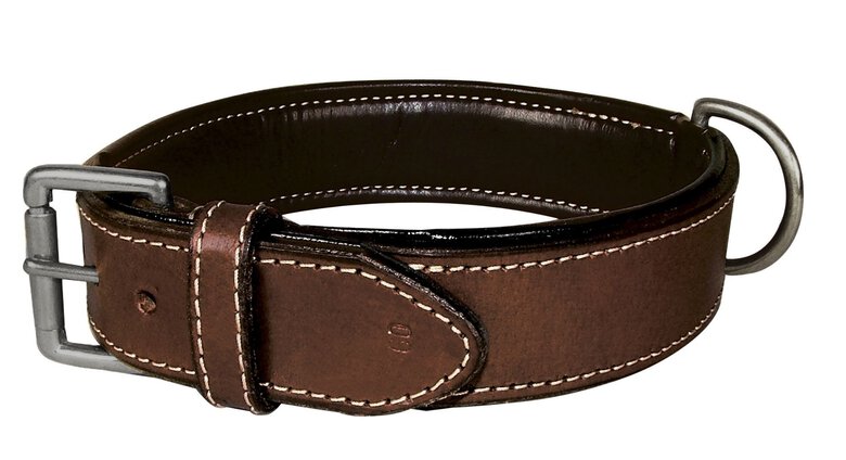 Bobby - Collier Classique Haute Finition Marron pour Chiens - 50cm Image numéro 1 Bobby - Collier Classique Haute Finition Marron pour Chiens - 50cm Image numéro 1