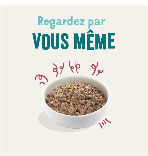 Edgard & Cooper - Barquette BIO au B&oelig;uf avec Noix de Coco et Chia pour Chien - 100g Image num&eacute;ro 2