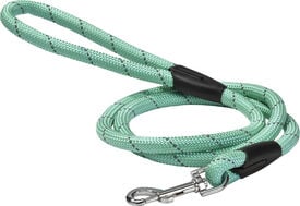 Bobby - Laisse Walk en Nylon pour Chiens - Bleu Lagon
