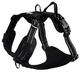 Bobby - Harnais Rando Walk Noir pour Chiens
