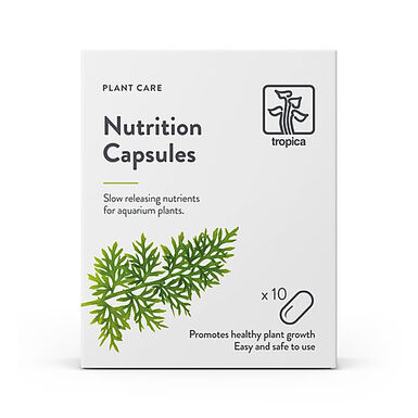Tropica -  Capsules d'Engrais Nutritionnelles pour Poissons - x10