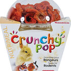 Zolux - Friandises Crunchy Pop à la Carotte pour Rongeurs - 43g image number null