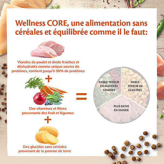 Wellness CORE - Croquettes Kitten Dinde et Poulet pour Chaton - 1,75Kg image number null