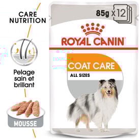 Royal Canin -  Pâtée en mousse COAT CARE MOUSSE pour chiens de toutes tailles - 12x85g