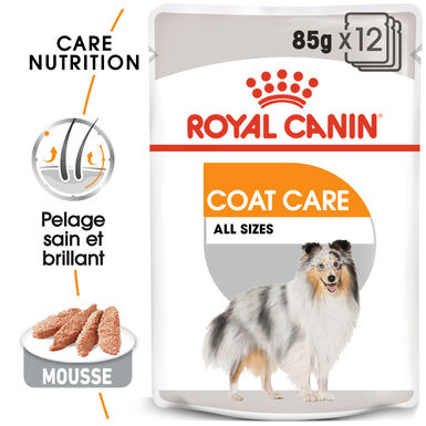 Royal Canin -  Pâtée en mousse COAT CARE MOUSSE pour chiens de toutes tailles - 12x85g