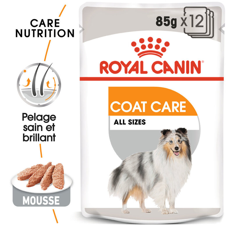 Royal Canin -  Pâtée en mousse COAT CARE MOUSSE pour chiens de toutes tailles - 12x85g image number null
