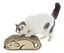 Leeby - Griffoir Funny Souris en Carton pour Chats Indicateur image numéro 1