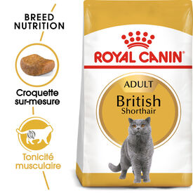 Royal Canin - Croquettes British Shorthair Adult pour Chat