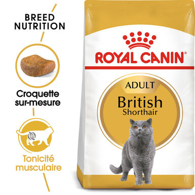 Royal Canin - Croquettes British Shorthair Adult pour Chat