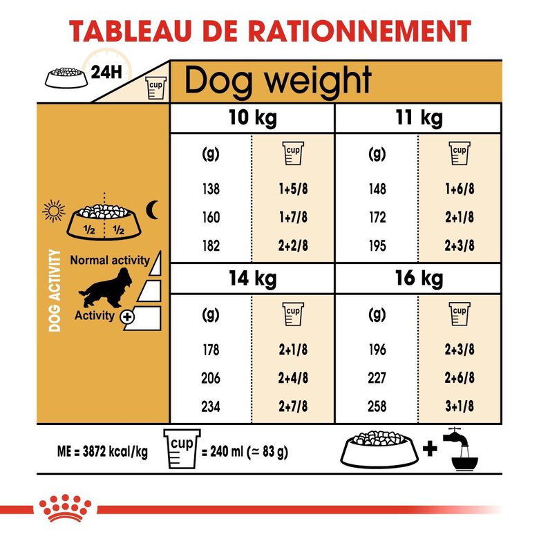 Royal Canin - Croquettes Cocker pour Chien Adulte - 3Kg Image numéro 6 Royal Canin - Croquettes Cocker pour Chien Adulte - 3Kg Image numéro 6