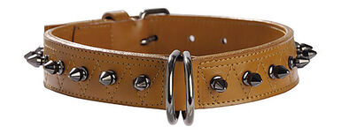 Bobby - Collier Pretty Marine pour Chiens