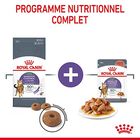 Royal Canin - Croquettes Appetite Control Care pour Chat - 3,5Kg image number null