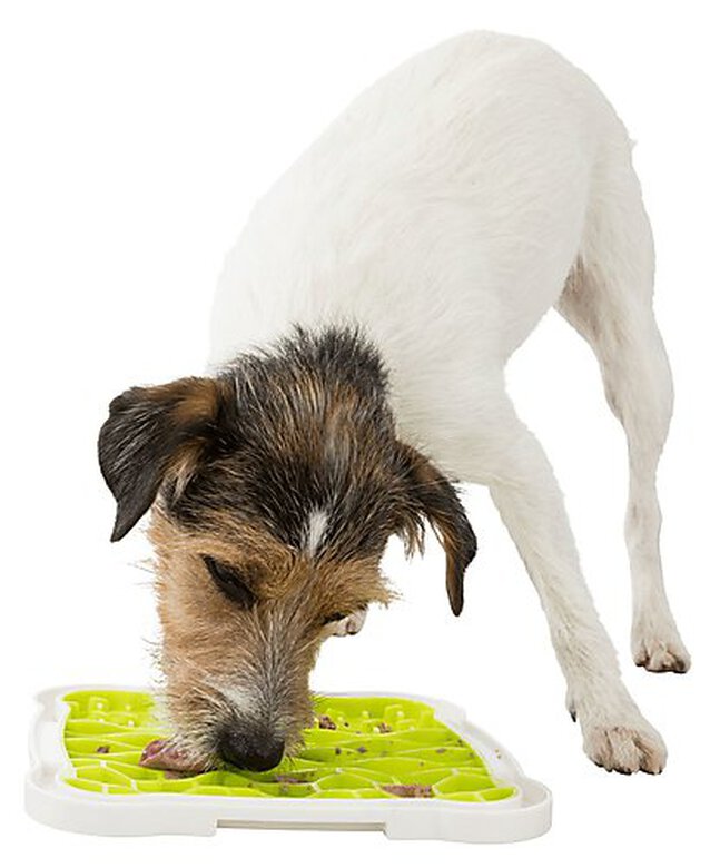 Trixie - Plateau Lick'n'Snack pour Chien - 20 × 20 cm image number null