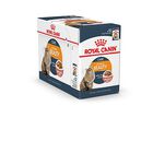 Royal Canin - Sachets Intense Beauty en Sauce pour Chat - 12x85g image number null