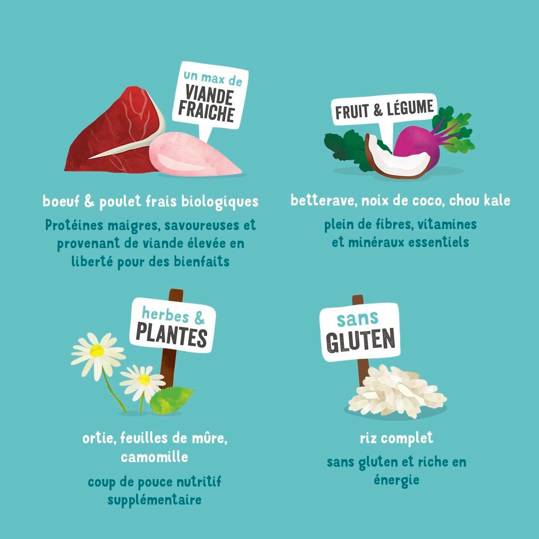 Edgard & Cooper - Croquettes BIO au B&oelig;uf et Poulet pour Chien - 2,5Kg Image num&eacute;ro 4