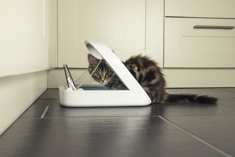 Sure PetCare - Distributeur SureFeed à puce Électronique pour Chat Image numéro 6 Sure PetCare - Distributeur SureFeed à puce Électronique pour Chat Image numéro 6