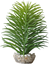 Labeo - Succulente moyen modèle Plante Artificielle Aquarium et Terrarium Indicateur image numéro 3