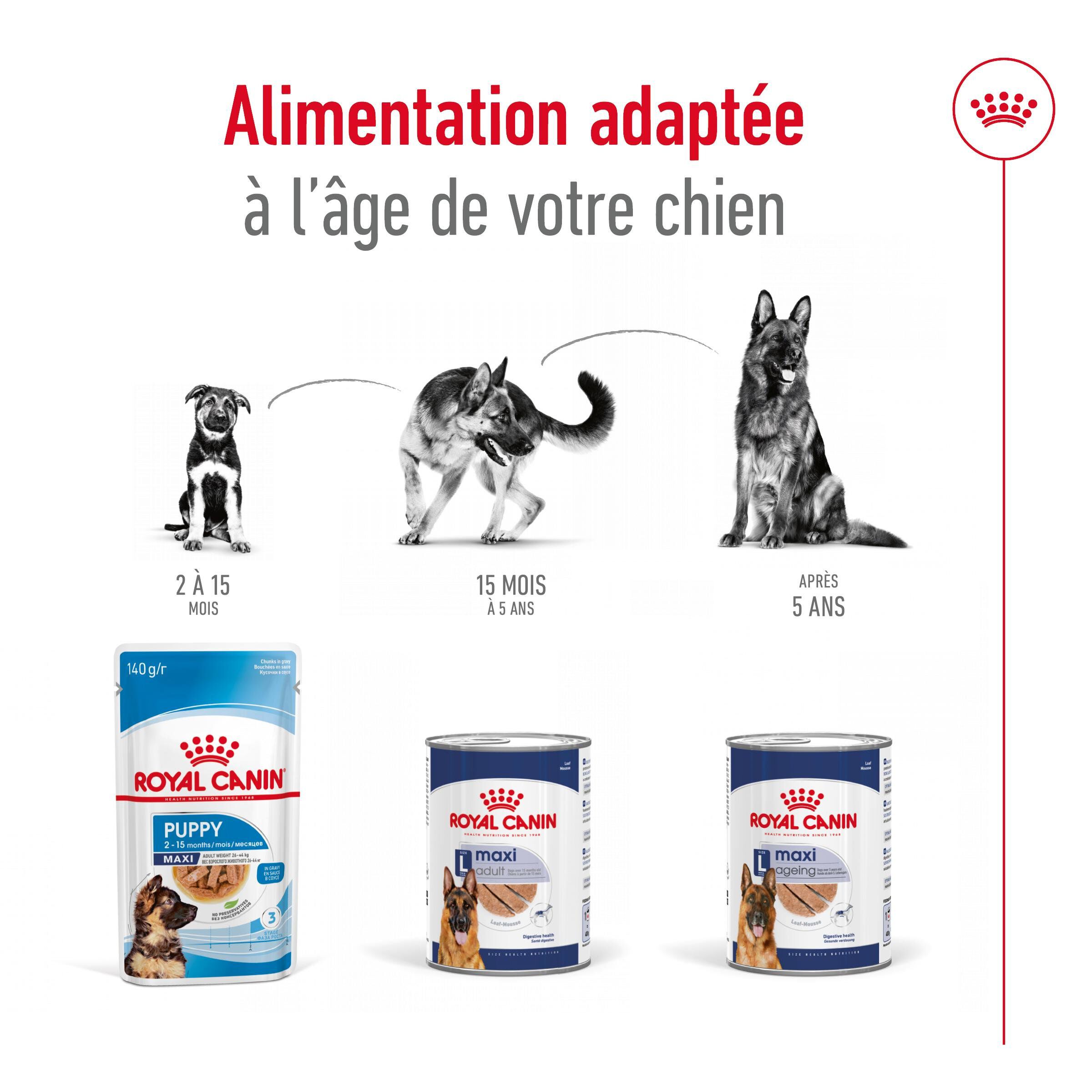 Royal Canin - P&acirc;t&eacute;e en Mousse Maxi Adult L - 410g Image num&eacute;ro 5