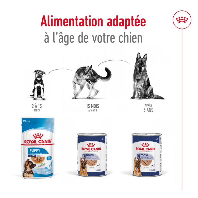 Royal Canin - Pâtée en Mousse Maxi Adult L - 410g Image numéro 5 Royal Canin - Pâtée en Mousse Maxi Adult L - 410g Image numéro 5
