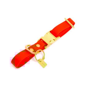 Pop Dog - Collier Foufou Orange pour Chien