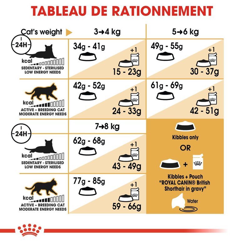 Royal Canin - Croquettes British Shorthair pour Chat Adulte - 2Kg Image numéro 7 Royal Canin - Croquettes British Shorthair pour Chat Adulte - 2Kg Image numéro 7