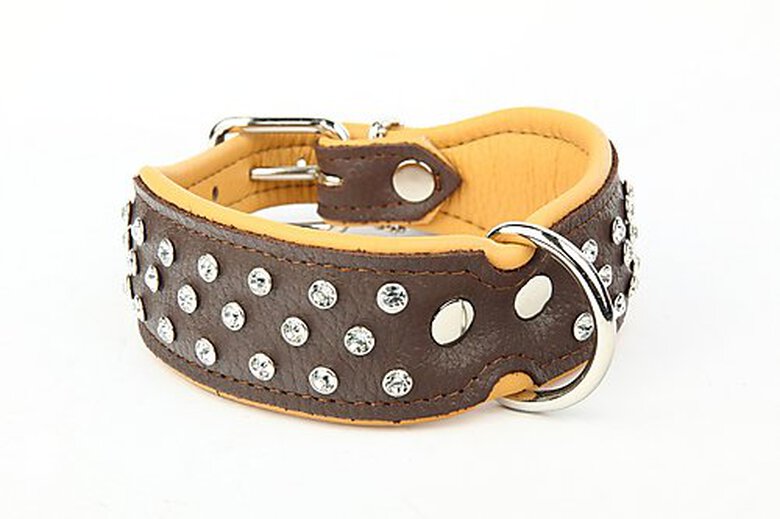 Yogipet - Collier Crystal Déco pour Chien - Marron image number null