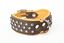 Yogipet - Collier Crystal Déco pour Chien Marron - T65 51/60cm Indicateur image numéro 3