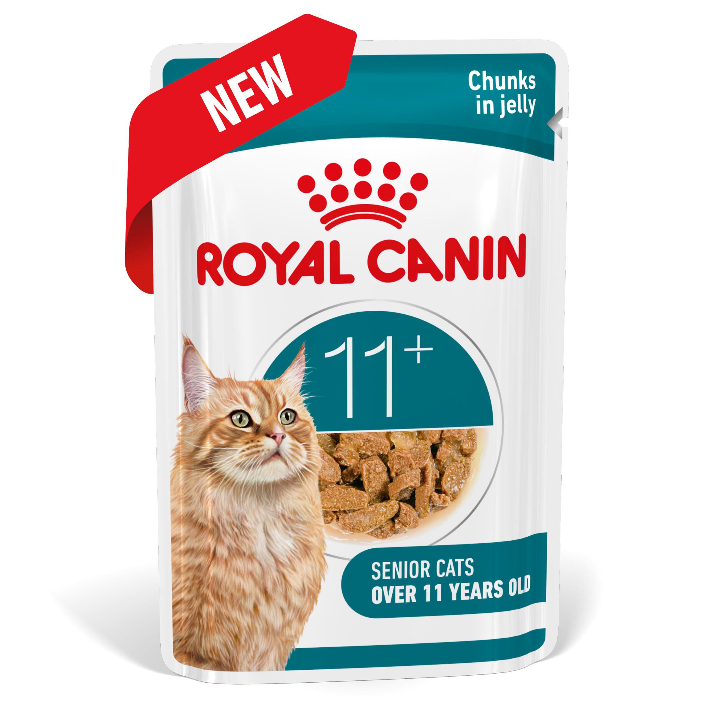 Royal Canin - P&acirc;t&eacute;e en Gel&eacute;e Ageing 11+ pour Chats Senior - 12x85g Image num&eacute;ro 3