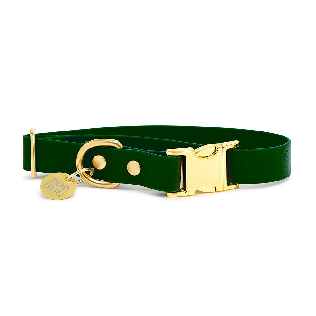 Pop Dog - Collier El&eacute;gant Vert pour Chien - XS Image num&eacute;ro 1