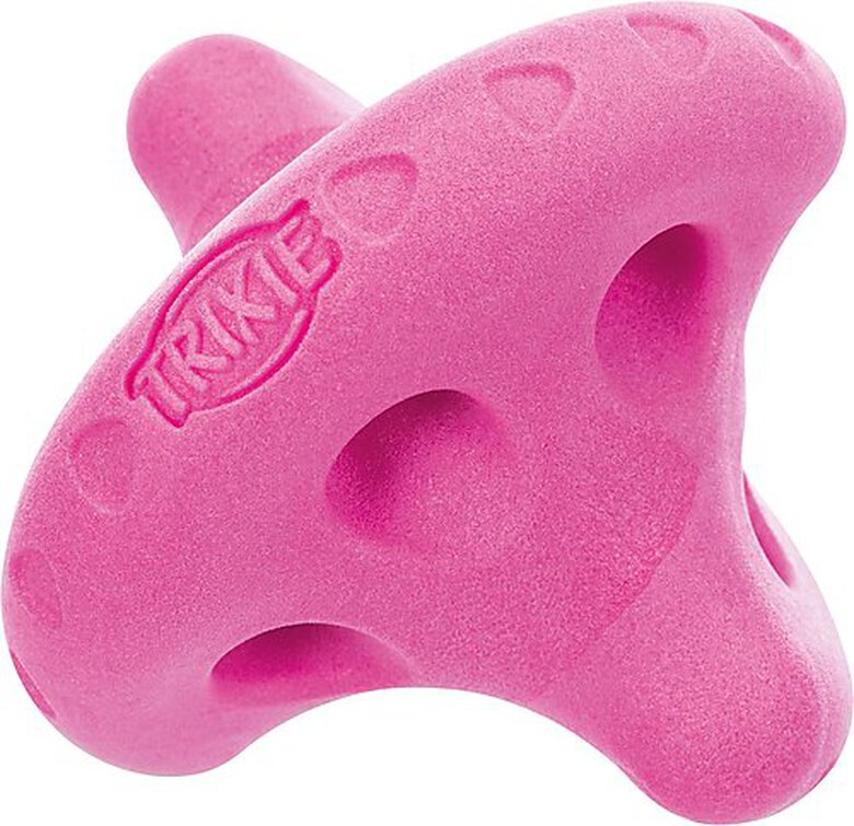 Trixie - Jouet Aqua Toy Tumbler pour Chien - 12cm image number null